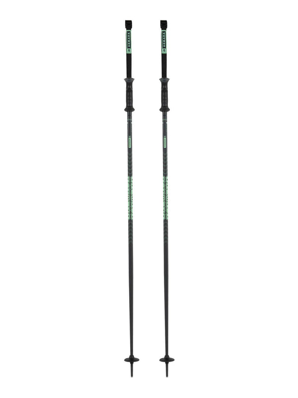 Armada Ski Poles Triad Poles