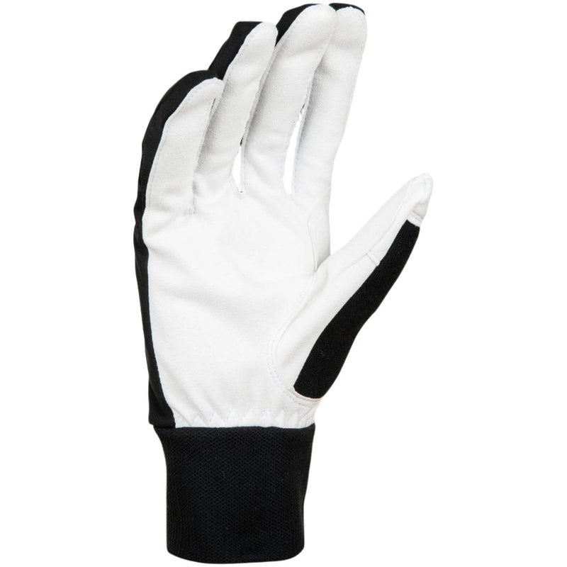 Daehlie Gloves Men's Glove Race Warm