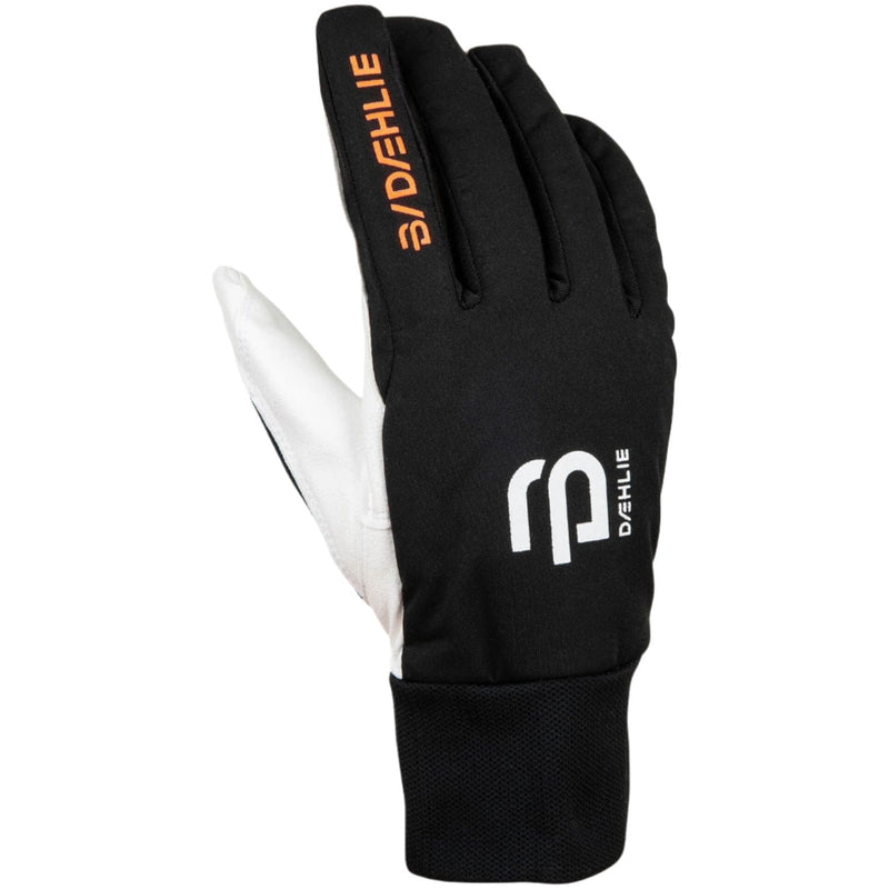 Daehlie Gloves Men's Glove Race Warm